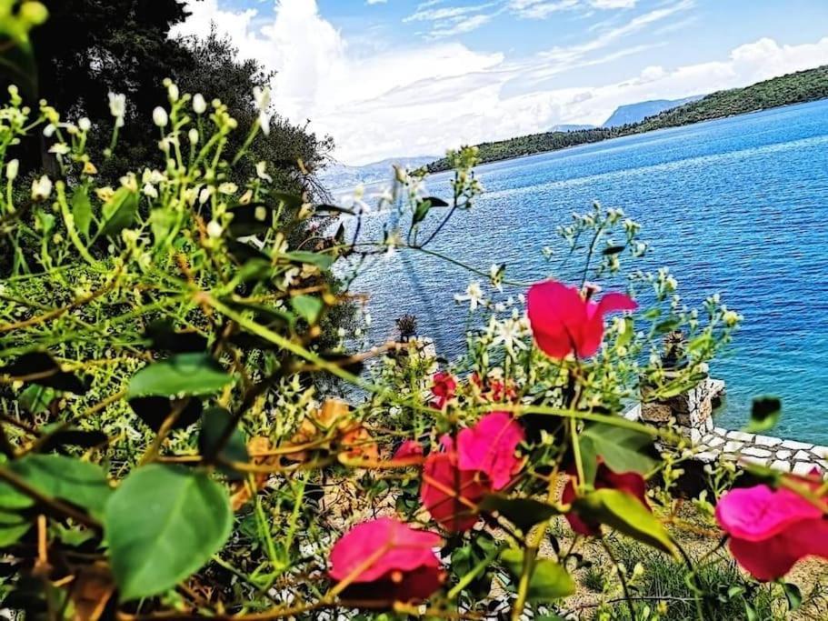 Villa Violeta Lefkada Nidhrion Exteriör bild